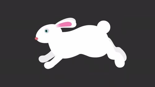 Wight Rabbit 2D animation