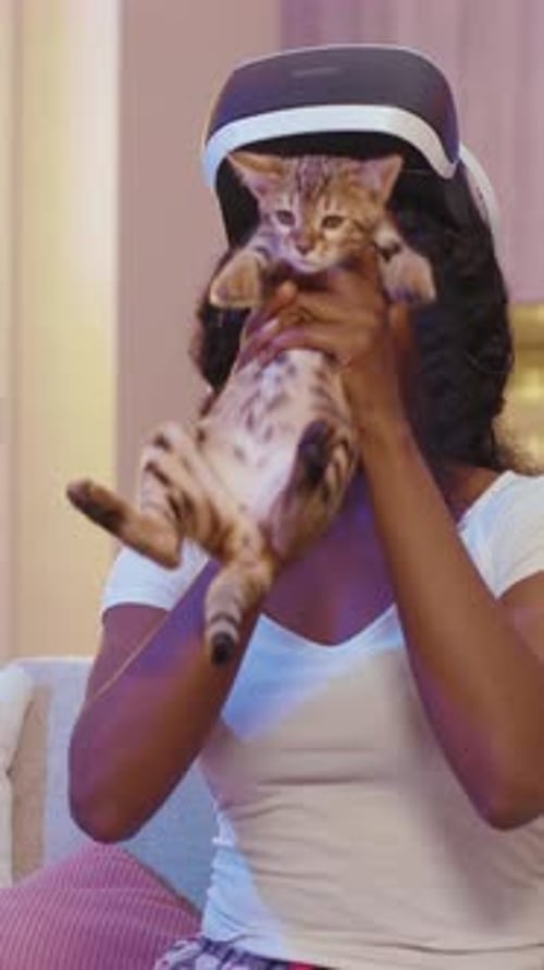 Woman Wearing VR Headset Plays with a Cat