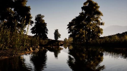 Crocodile se reposant au bord des eaux calmes dans un environnement fluvial luxuriant