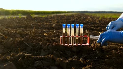 Field Soil Samples for Analysis Selective Focus