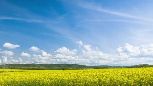 Fields with a Plant in a Valley Against the Background of the Village and the Sky in Bulgaria