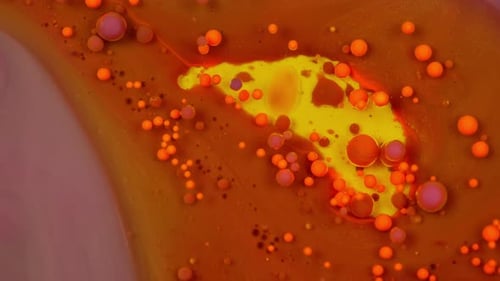 Magic of Color The Interplay of Oil and Colorful Bubbles in Slow Motion Art
