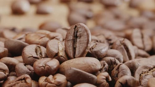 Close Up of Pile of Roasted Coffee Beans