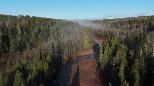 foggy morning over some trees and a river shot by drone in 4K 60FPS.