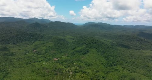 Mountain Slopes Covered with Rainforest and Jungle