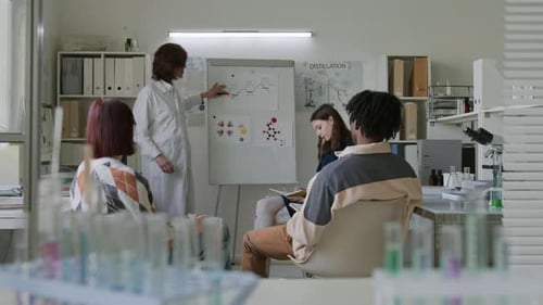 Science Students Studying in the Laboratory