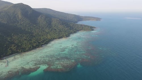 Vue aérienne de la forêt tropicale de l'île de Karimunjawa, Indonésie, au-dessus des arbres et de la forêt naturelle