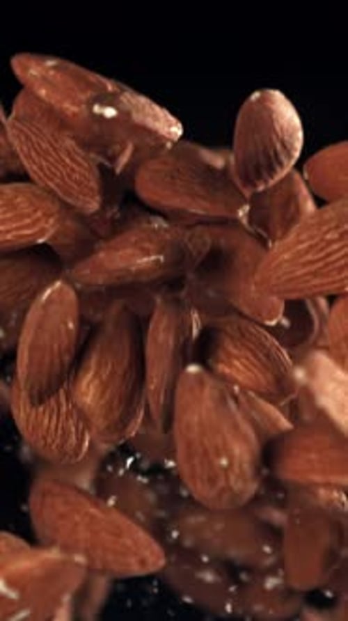 Almonds Fly Up and Fall Down Filmed on a Highspeed Camera at 1000 Fps