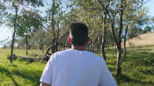 Tracking shot of man walking through stand of small trees in meadow