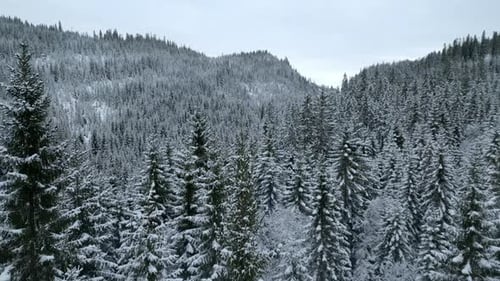 Winterland 1