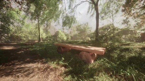 Bench Near Tree in Public Park