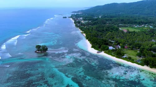Coral Reef at Anse Source D Argent Beach La Digue Island Seychelles