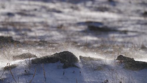 Schneesturm und Schneetreiben in der Winterlandschaft auf Felsfeld