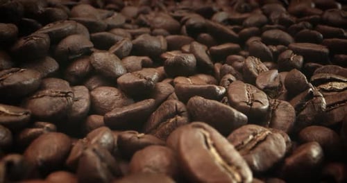 Close-up of Roasted Coffee Beans