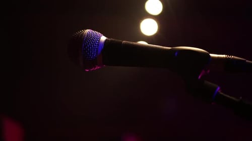 Microphone at live in close up