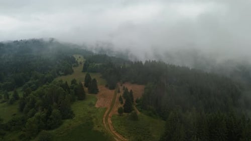 Aerial View of Green Mountains with a Path Through Coniferous Forest and Thick Clouds