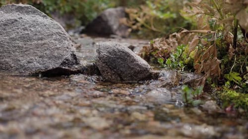 Mountain River Runs at Morning in Slow Motion