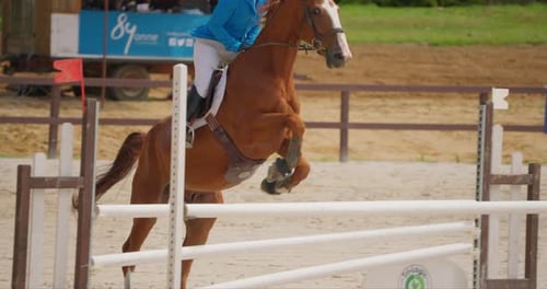 Equestrian Horse and Rider Jumping Obstacles