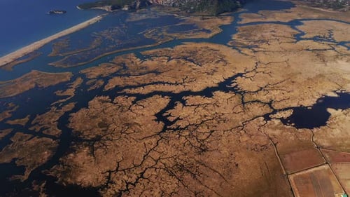 Aerial view of Dalyan delta and iztuzu beach in autumn. Aerial view of yellowed reeds and delta cha