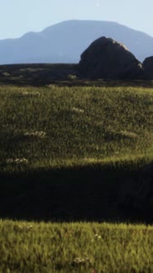 High Mountain Summer Landscape and Meadow with Huge Stones Among the Grass