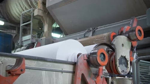 Paper and Pulp Mill