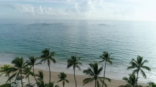Palmen wiegen sich am tropischen Strand, Meerblick, von einer Drohne in der Karibik gefilmt