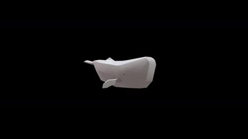 Whale : Cartoon