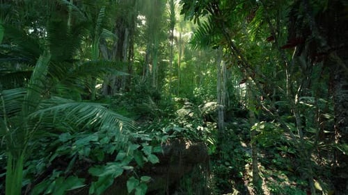 Traveling Across Complex Plant Life and Rugged Outdoor Environments