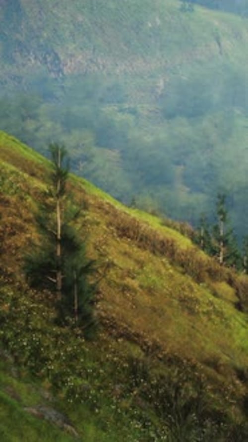 Grassy Hill With Trees Serene Alpine Meadow Landscape