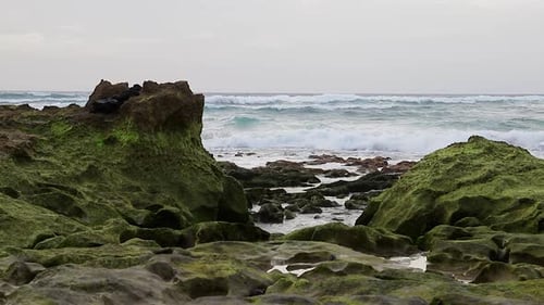 Amazing cinematic ocean scenery with rocks filled with green moss, seawater puddles and big waves.
P