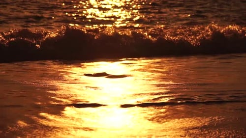Small Sea Wave Blurred Soft Foamy Waves Washing Golden Sandy Beach on Sunset