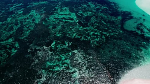 Aerial View of a Lush Coral Reef Near a Tropical Island During Daytime