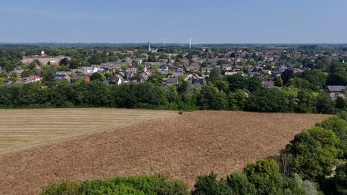 Tractor cutting on wheat field and harvesting corns on field. Aerial flyover shot. Cityscape and