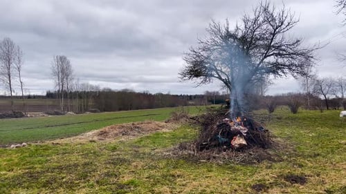 Burning Branches in Rural Pasture on Overcast Day