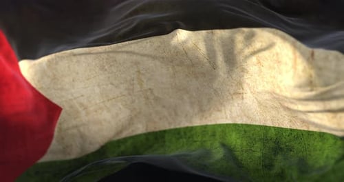 Grunge Style Palestinian Flag Waving Loop