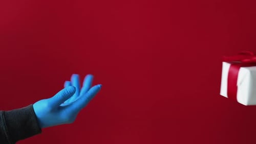 Quarantine Hygiene Pandemic Christmas 2021 Gloves
