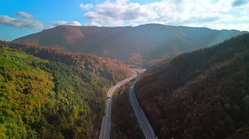 Autumn Forest Road - 4K