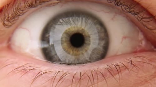Extreme Close-up of a Human Eye