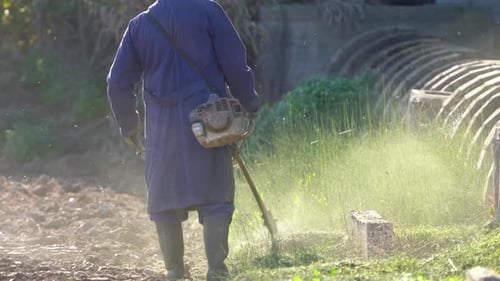 Farmer grass cutting with lawnmower. Gardener in his agriculture field, removing grass with engine m