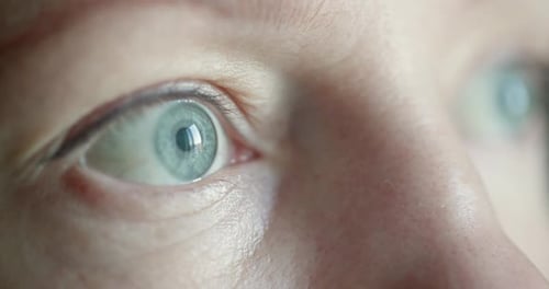 Close Up Macro Shallow Depth of Field Shot of Human Female Eye