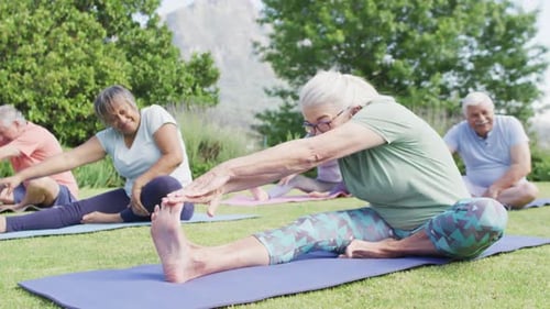 Diverse group of happy male and female seniors stretching on yoga mats in sunny garden, slow motion