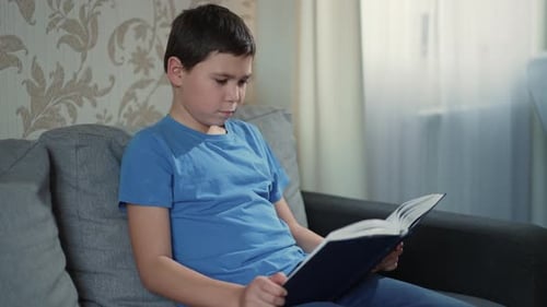 Boy Reading a Book on the Sofa