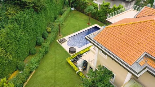 swimming pool in a green garden