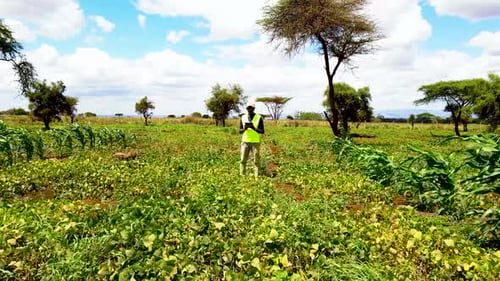 Rural agricultural farms in Kenya. Drone pilot land survey. Smart Agriculture technology.