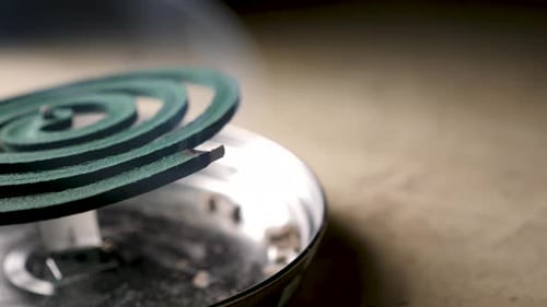 Mosquito Coil Repellent
Close Up Of Mosquito Coil