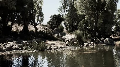Tranquil Riverside Landscape with Trees Rocks and Still Waters at Midday