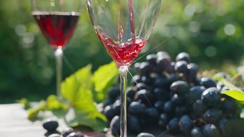 Rotwein, der bei einem romantischen Date im Freien in zwei Gläser gegossen wurde, frische Traubenbüschel