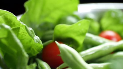 Shallow focus healthy fresh green spinach leaf cucamelon cherry tomato salad bowl closeup dolly righ