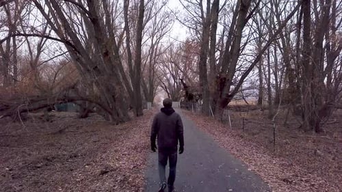 A man walks through a dark and cold forest - from behind dolly forward