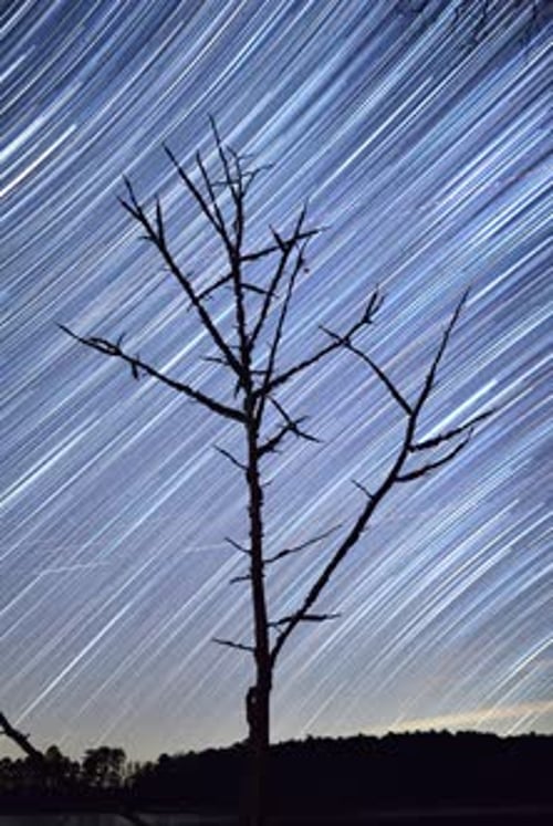 Star Trails Time Lapse Silhouette Tree Night Sky
